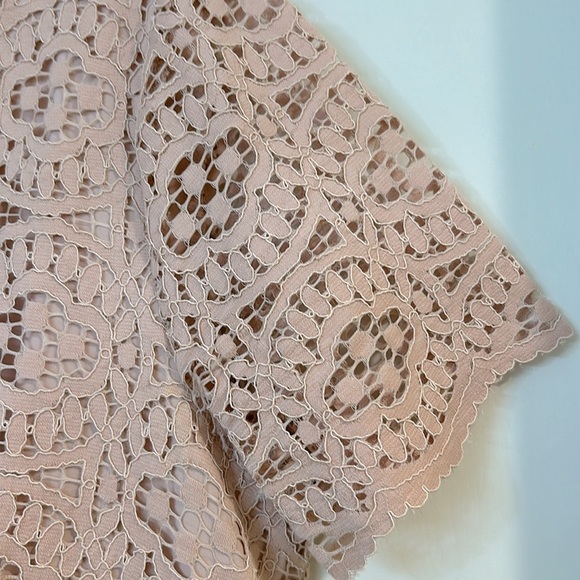 Ann Taylor blush pink lacy cut-out dress, size 12 - Picture 6 of 8